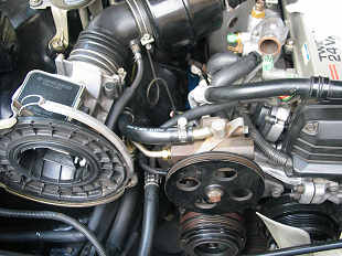 �G���W���O���T