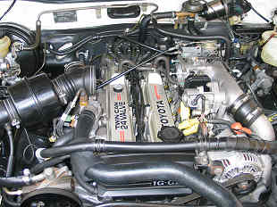 �G���W���O���U